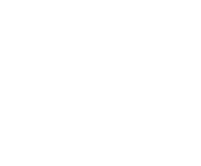 Evolution games at Spinpug Casino